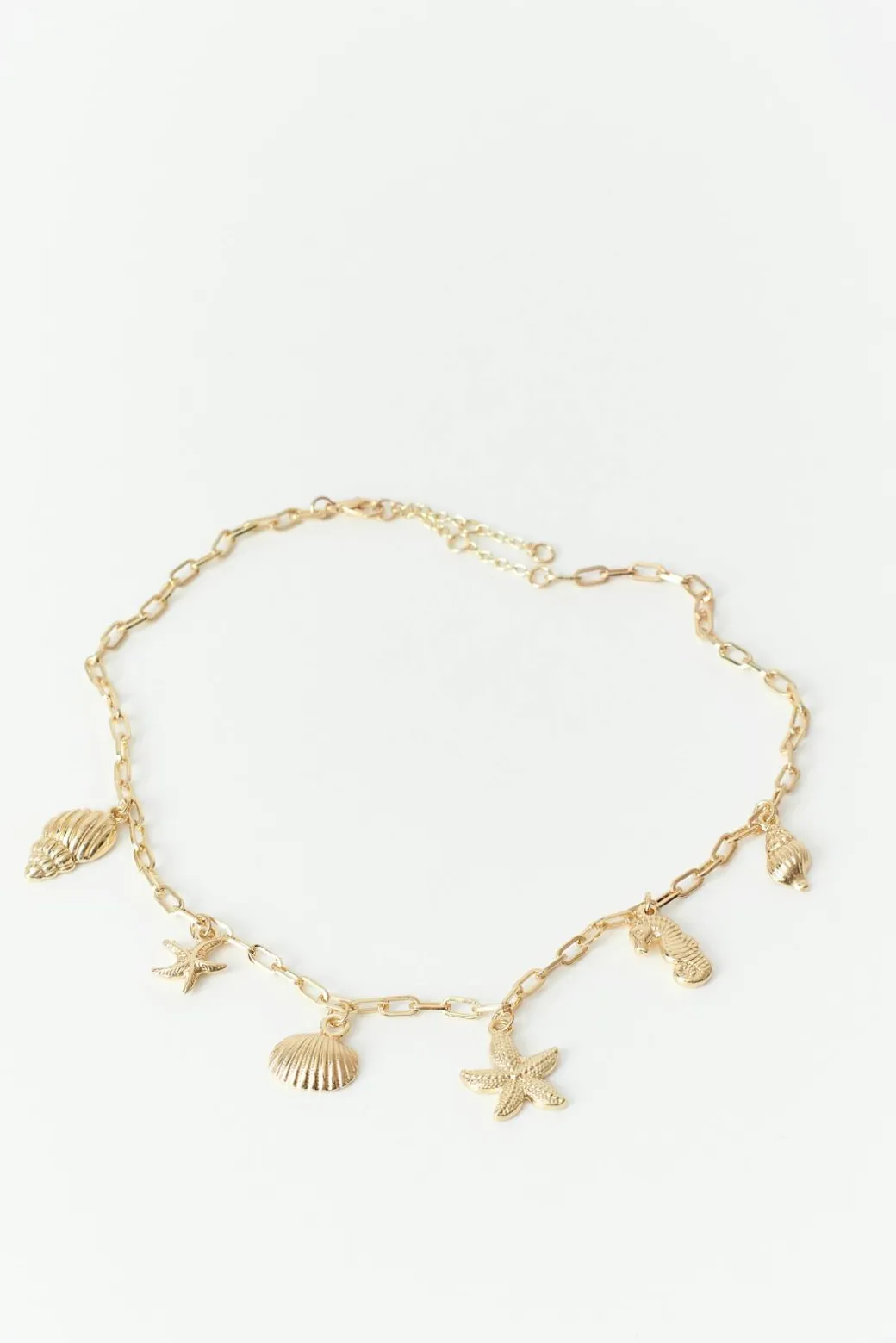 Charm necklace