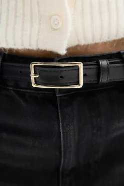 Clean rectangular belt