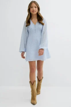Y embroidery dress